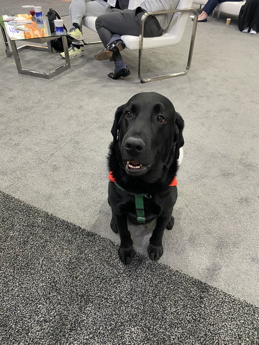 I met Luigi today at #AES2024! Such a great seizure doggie 🐶😍