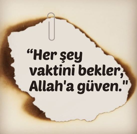 Oğuz Nihat Alkan tweet media