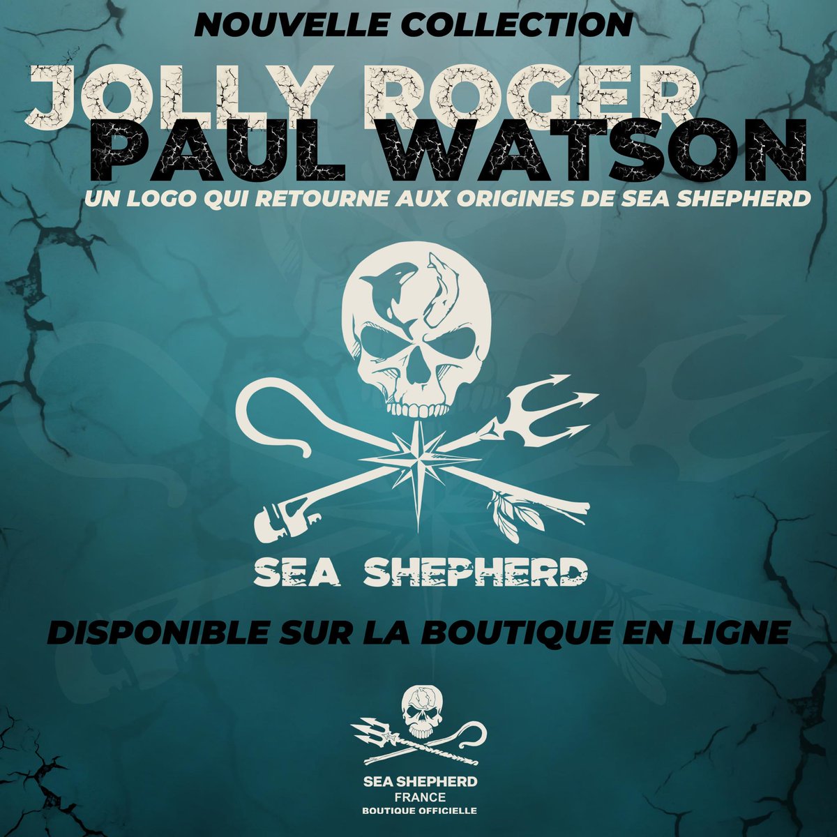 SeaShepherdFran's tweet photo. Pour distinguer les antennes de Sea Shepherd loyales envers Paul Watson et celles qui l'ont illégalement évincé, nous avons créé le "Jolly Roger Paul Watson". Un logo qui reprend les éléments du logo originel - avant son "lifting" en 2000 - et qui intègre une rose des vents, qui symbolise le cap que l'on maintient, en refus de toute compromission, toute institutionnalisation et surtout, en symbole de loyauté envers les valeurs d'origine de ce mouvement, incarnées par son Fondateur. Le vrai crâne de Paul Watson a servi à la création de ce logo.

Pour revoir la vidéo de présentation du logo : https://t.co/jxkRfnhRsO

L'ensemble des bénéfices de la boutique de @SeaShepherdFran servent à financer nos actions et nos campagnes de défense et de protection de l'océan et des animaux marins.

NB : Attention à bien commander sur la boutique française pour soutenir nos actions et pour soutenir Paul Watson. Les autres boutiques portant le nom de Sea Shepherd (à l'exception du Brésil) sont malheureusement affiliées aux antennes qui ont trahi Paul Watson et qui ont engagé des poursuites judiciaires contre Sea Shepherd France pour tenter de nous interdire l'usage du nom et du logo dans une tentative de nous "punir" d'être restés loyaux à Paul Watson. Ils ont heureusement, perdu le procès. Haut les coeurs ! #freepaulwatson