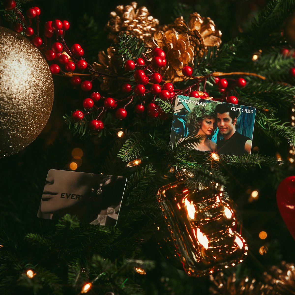 Everyman Cinema tweet media