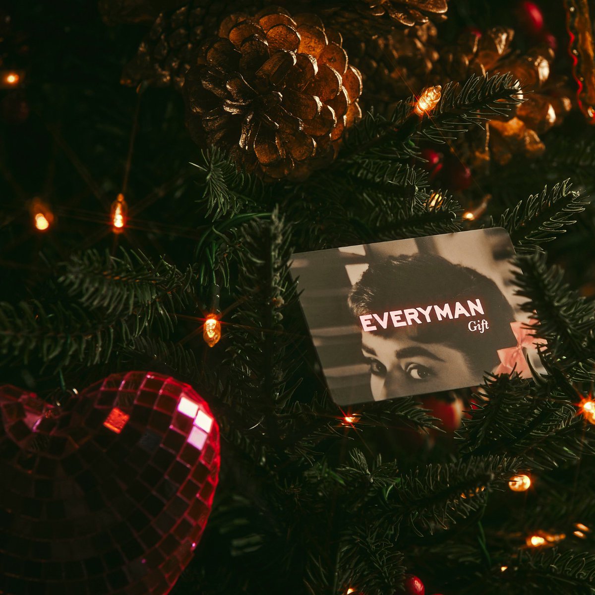 Everyman Cinema tweet media