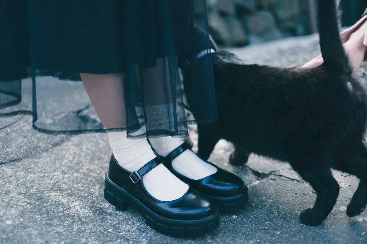 __bluemoon____'s tweet image. 黒猫かわいいなあ