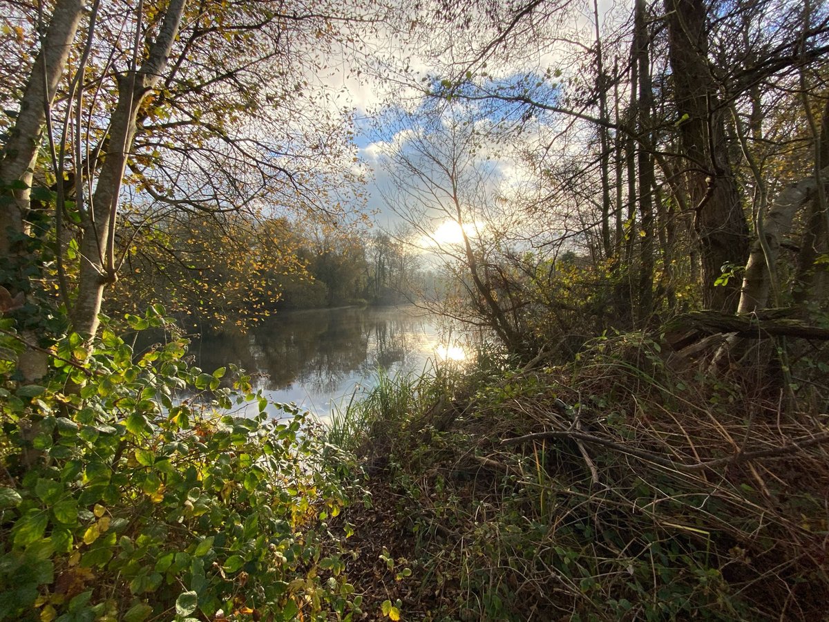Nobody ever planted a tree in this photo. It was a working gravel pit 30 years ago.

We need to get over our obsession with planting trees and let nature do the job. The results are just SO much better.

It's also about realising we are not, in fact, central to everything. 🌍