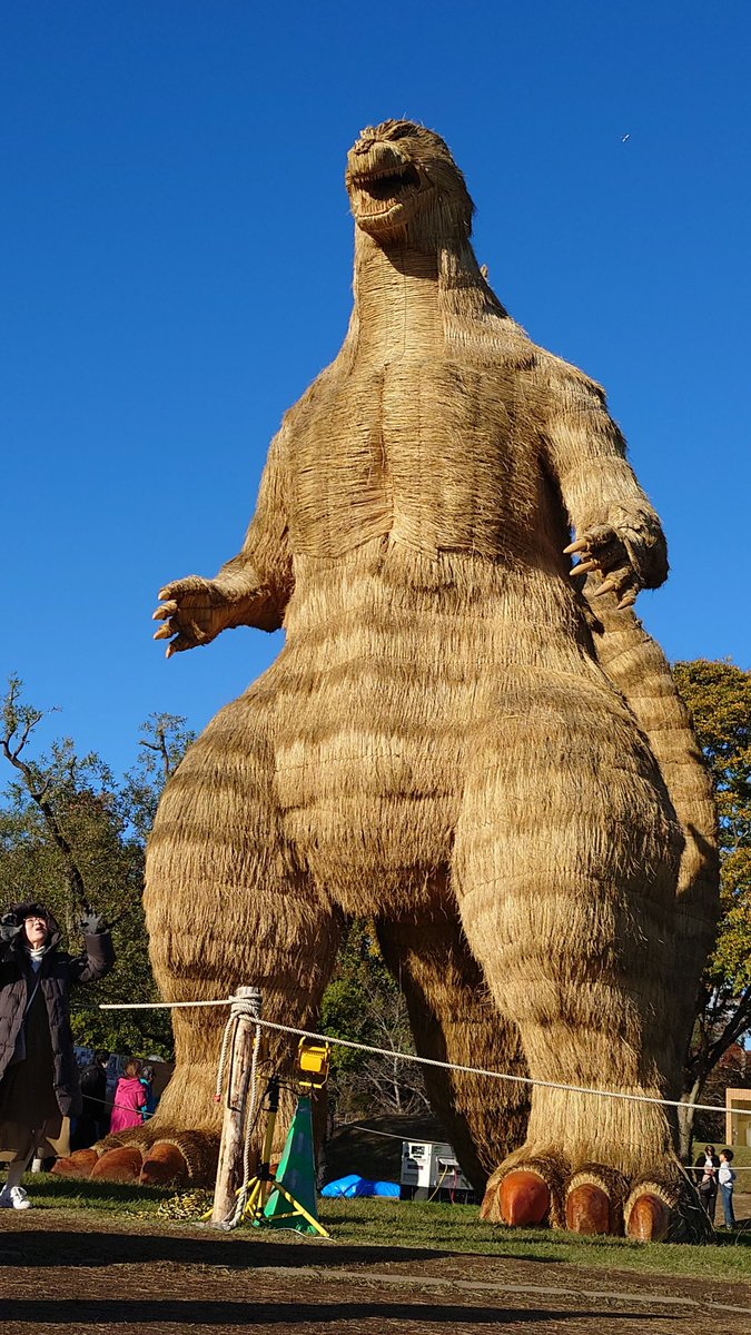 isa_no001's tweet photo. ゴジラ��び!
���ネス世界記録に認定されてた😀 https://t.co/CA0ApFPlaW