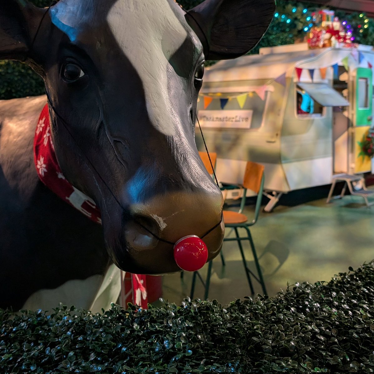 neiljhart's tweet image. Taskmaster Live Experience yesterday was excellent. In you're a fan, grab tickets immediately. So much fun. And tasks. #taskmaster #taskmasterlive