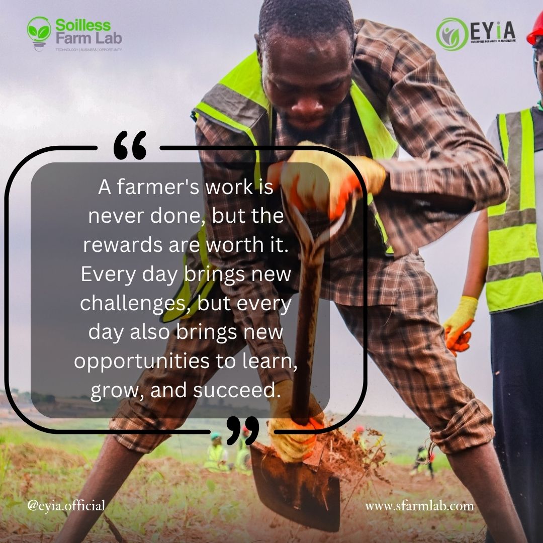 Eyiaofficial's tweet photo. New week, new opportunities! A farmer's work is never done, but the rewards are worth it. Stay focused, stay committed, and keep pushing forward. Have a productive week.
#EYiATITANS #EYiA #sfarmlab #foodheroes #foodsecurity #foodsustainability #zerohunger https://t.co/vvK18khLzh