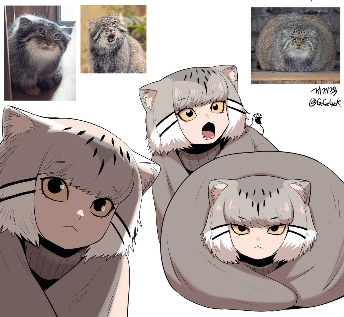 Manul 2
