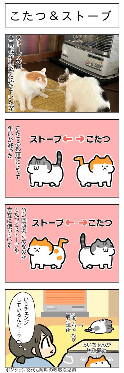 こたつ2024・こたつ&ストーブ│フェリシモ猫部 https://t.co/34mfKUjLLs 