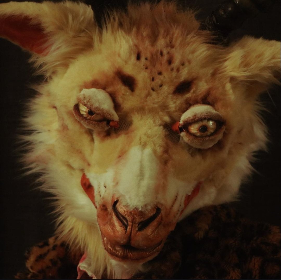 🦷 𝐅𝐮𝐧𝐧𝐲 𝐇𝐨𝐫𝐬𝐞 𝐆𝐮𝐲 🦷 tweet media