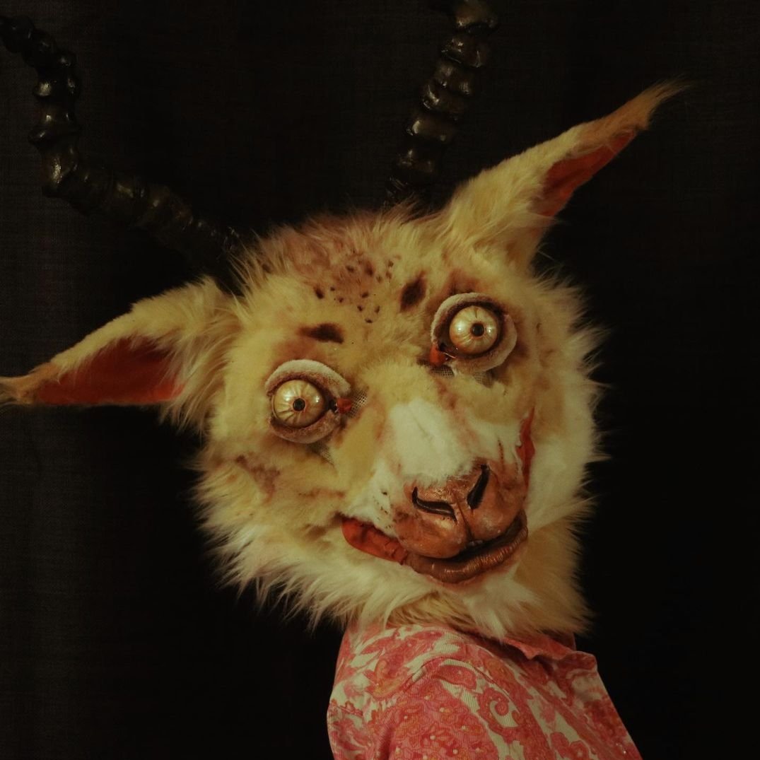 🦷 𝐅𝐮𝐧𝐧𝐲 𝐇𝐨𝐫𝐬𝐞 𝐆𝐮𝐲 🦷 tweet media