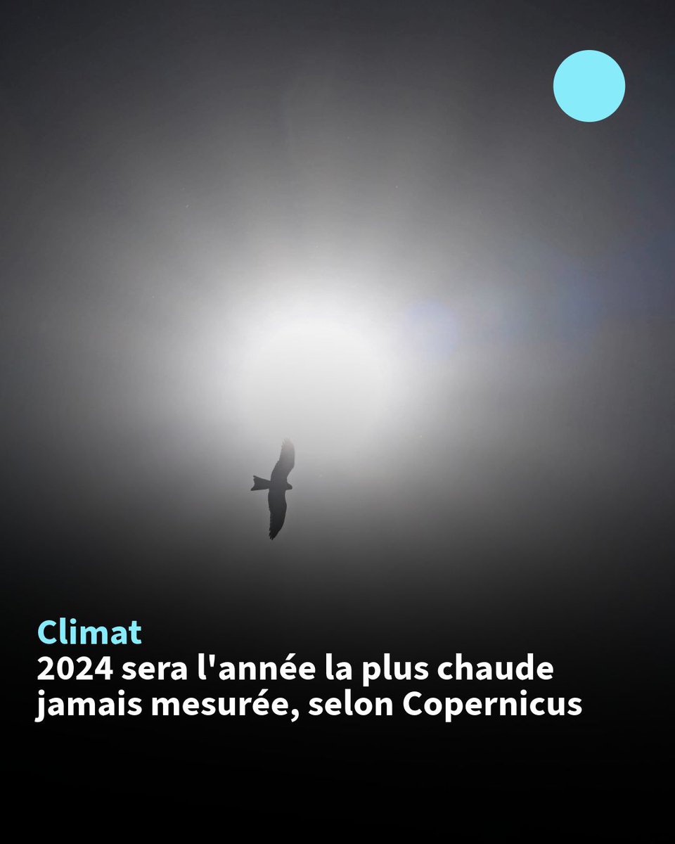 Il est maintenant certain que 2024 sera l'année la plus chaude jamais mesurée, devant 2023, et la première à dépasser la barre d'1,5°C de réchauffement par rapport à la période préindustrielle, fixée par l'accord de Paris, a annoncé lundi l'observatoire européen Copernicus #AFP