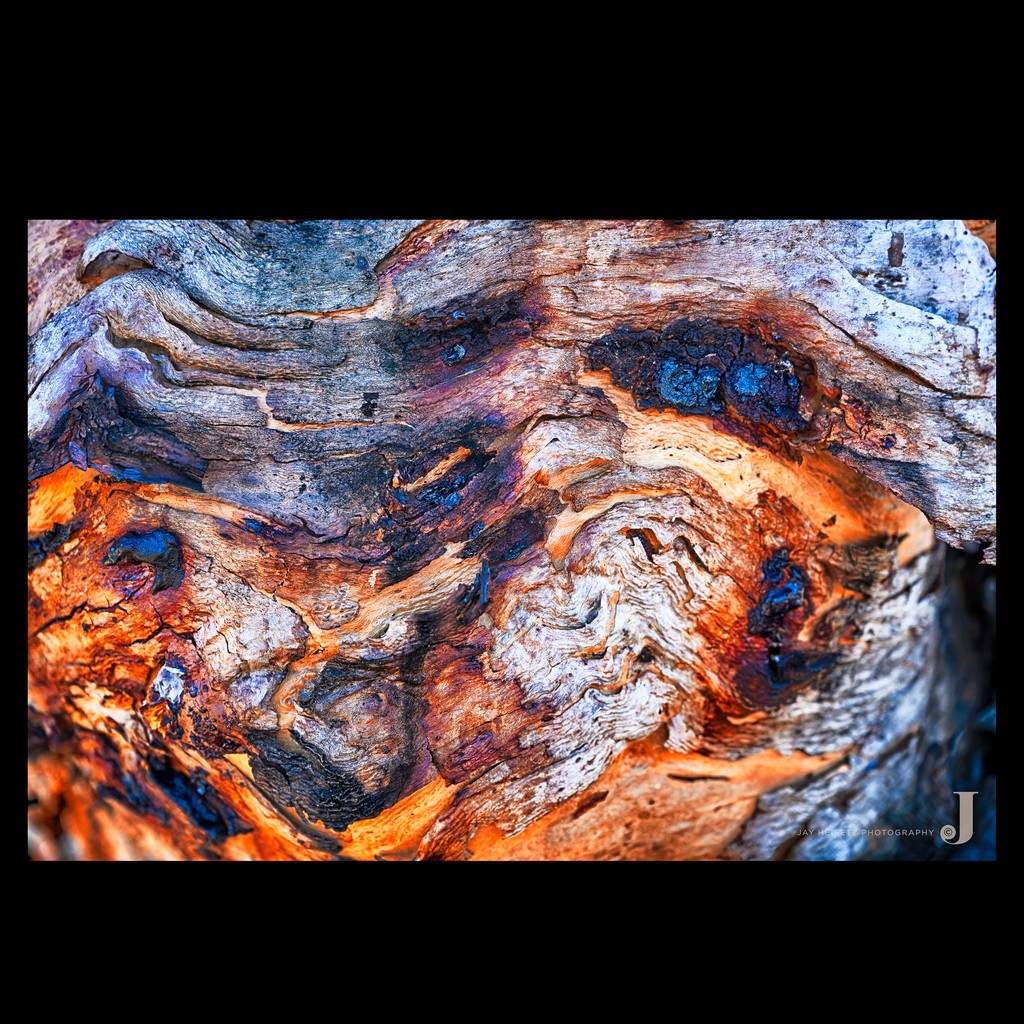 JayHeifetz's tweet image. View the many versions of this image available at jay-heifetz.pixels.com/featured/barki…  #interiordesigninspiration #homewares #interiordesignideas #livingroomdesign #interiordesigninspo #art #designer #gifts #lifestyle #interiordesigner #home #interiordesign