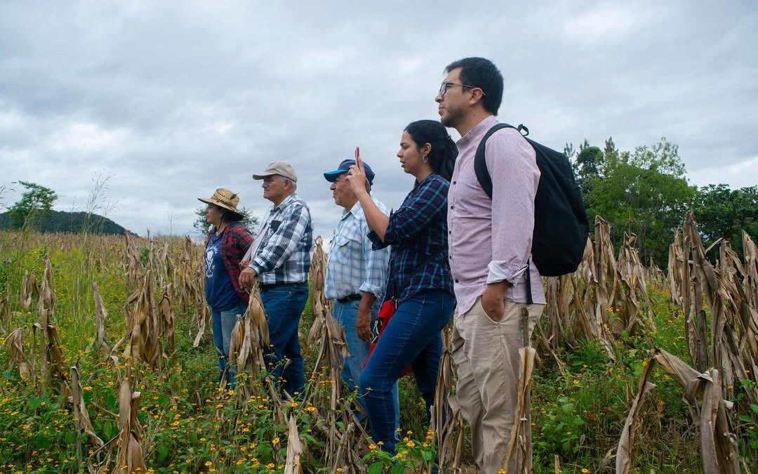 CChiviricuarta's tweet photo. Desde el @CChiviricuarta junto a @maizdevida y la Red sobre Bienes Naturales y Derechos Humanos, realizamos jornadas de investigación comunitaria en los municipios del Nororiente de Guatemala: Palencia, San José del Golfo, San Pedro Ayampuc y San Antonio la Paz  deEl Progreso. https://t.co/BcNyBycUvE
