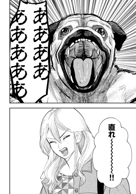 (5/5) 