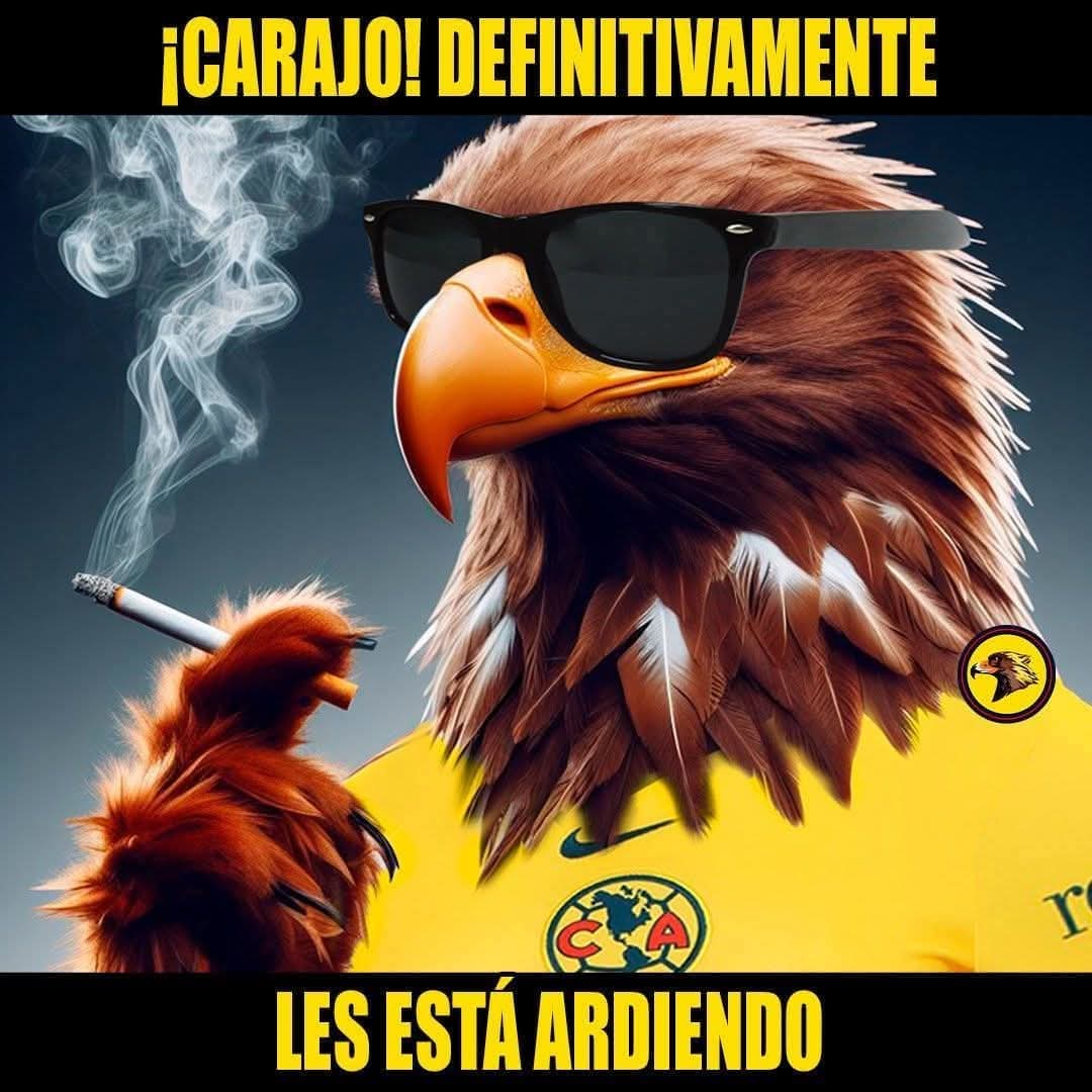 ErnestoTorresTV's tweet photo. Salu2! A todos los Anti - Americanista Jajajajaja #OdiameMas #GrandesDeCorazon 🦅🦅🦅🦅 https://t.co/9jIRh0b6Wa