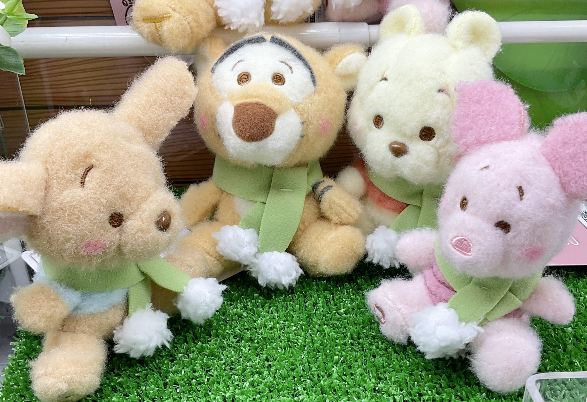 寄生型怪奇蟲　セットB　永野蟲　卵蓄光体　怪奇標本　まとめ5本　芸術作品　標本 一点物 永野蟲 卵蓄光体 NN-02 寄生型怪奇蟲 怪奇標本 UMA