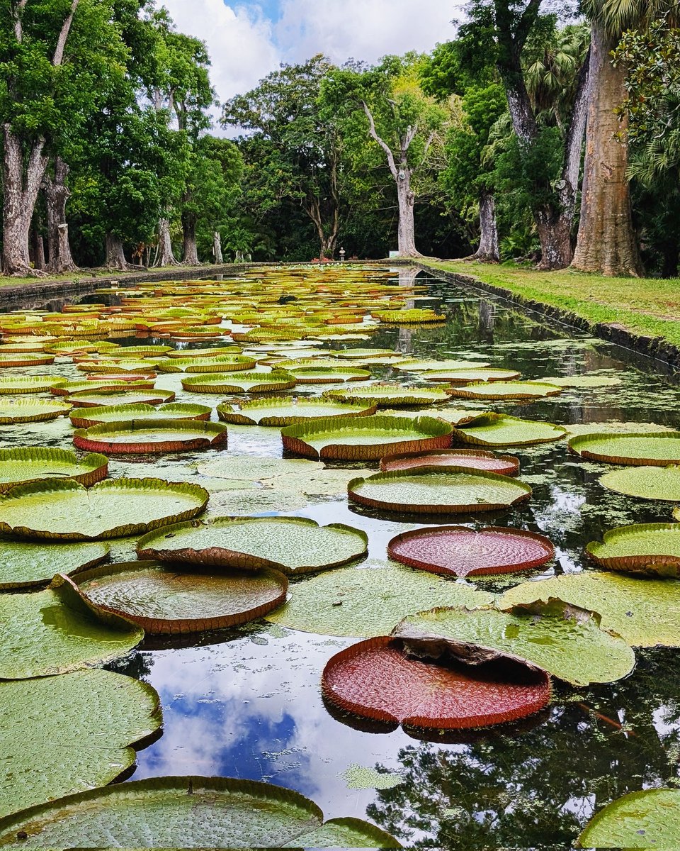 Mauritius 🇲🇺 2024