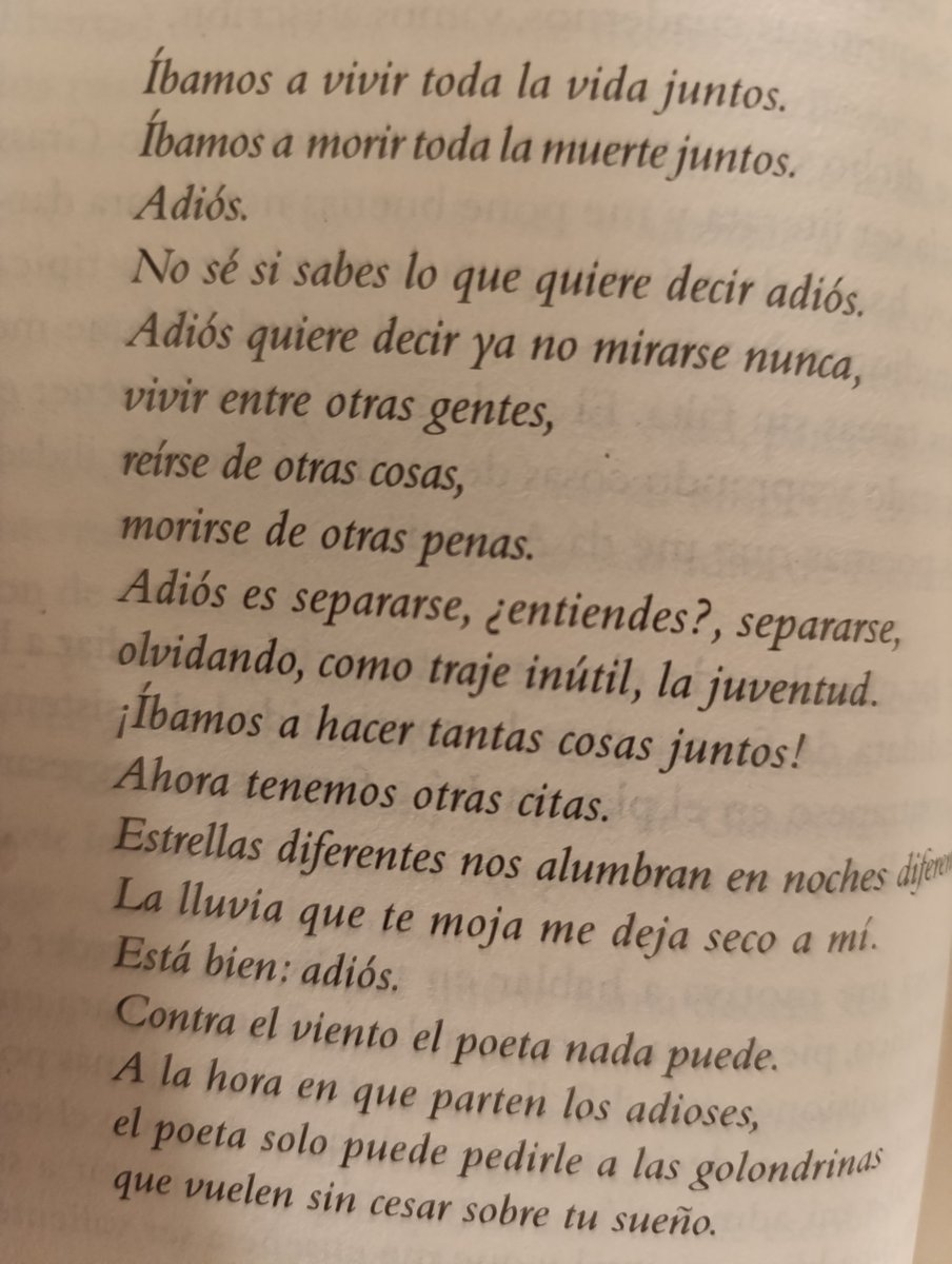 Federico Guzmán Rubio tweet media