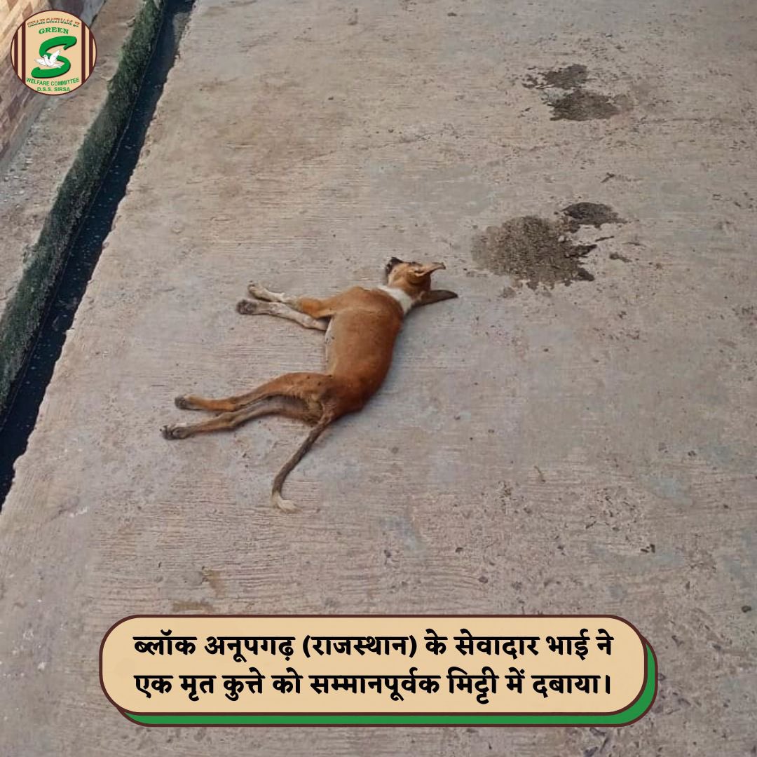 Compassion is the root of humanity! 🐾 Volunteers from Mawana &amp; Dharamgarh showcased this by picking and burying deceased dogs with dignity, while ensuring road safety for all. Their selfless actions inspire kindness and care.  #AnimalWelfare #Kindness #RoadSafety