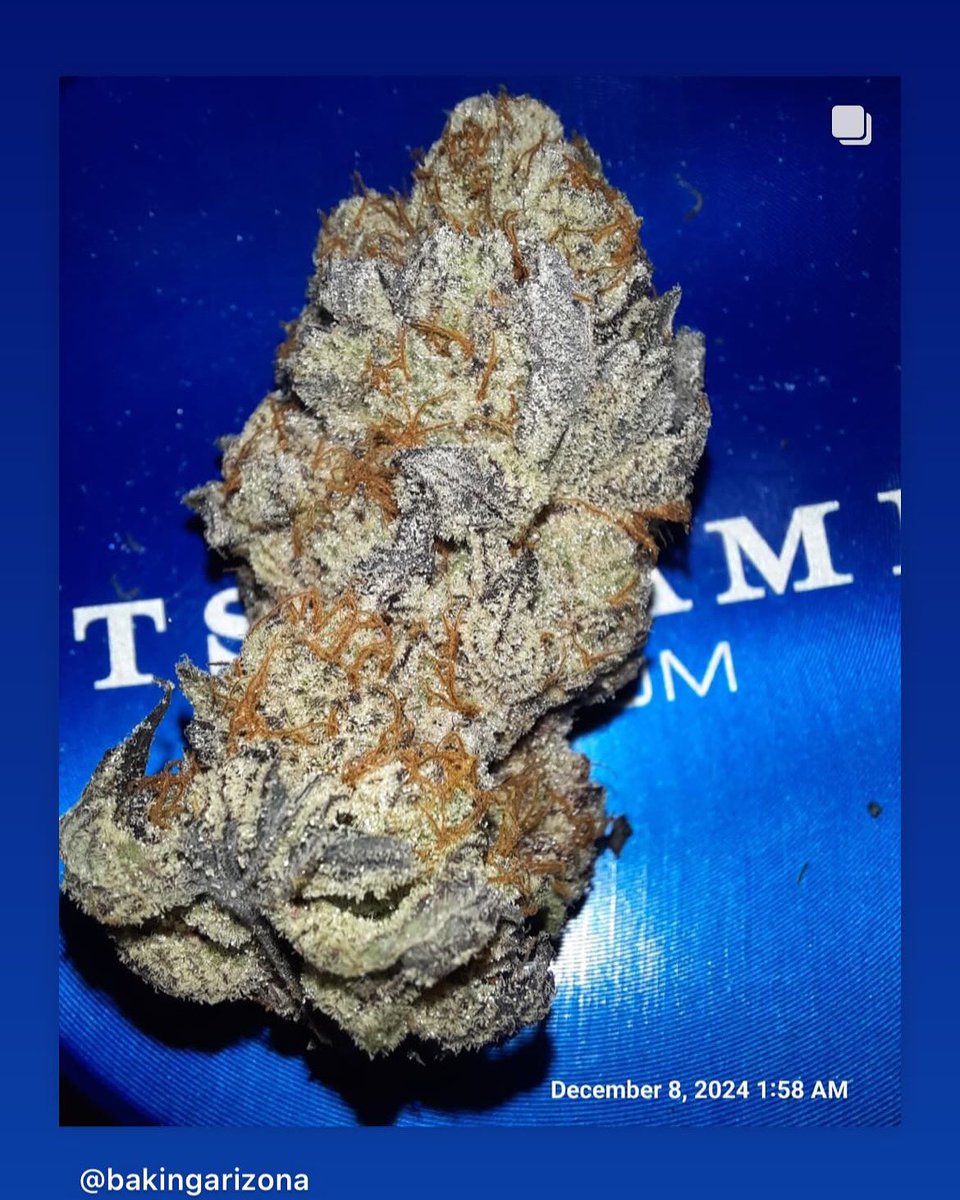 <a href="/BakingArizona/">BlazingArizona</a> 
Killed the wicked cookies x wicked gas