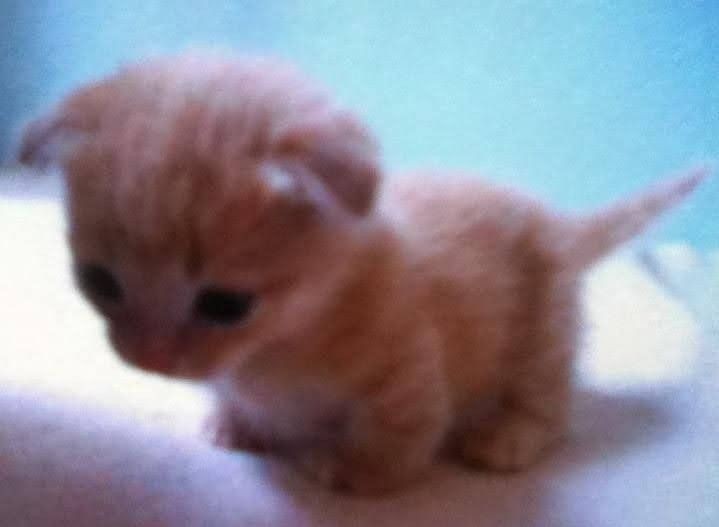 ⠀
si.  siempre  huele  bien  y  y  y  y—
⠀