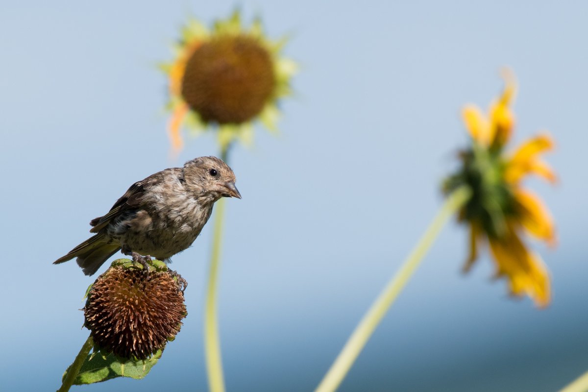 Michael Erb tweet media