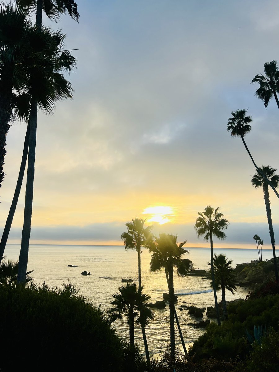 Tom Shields tweet media