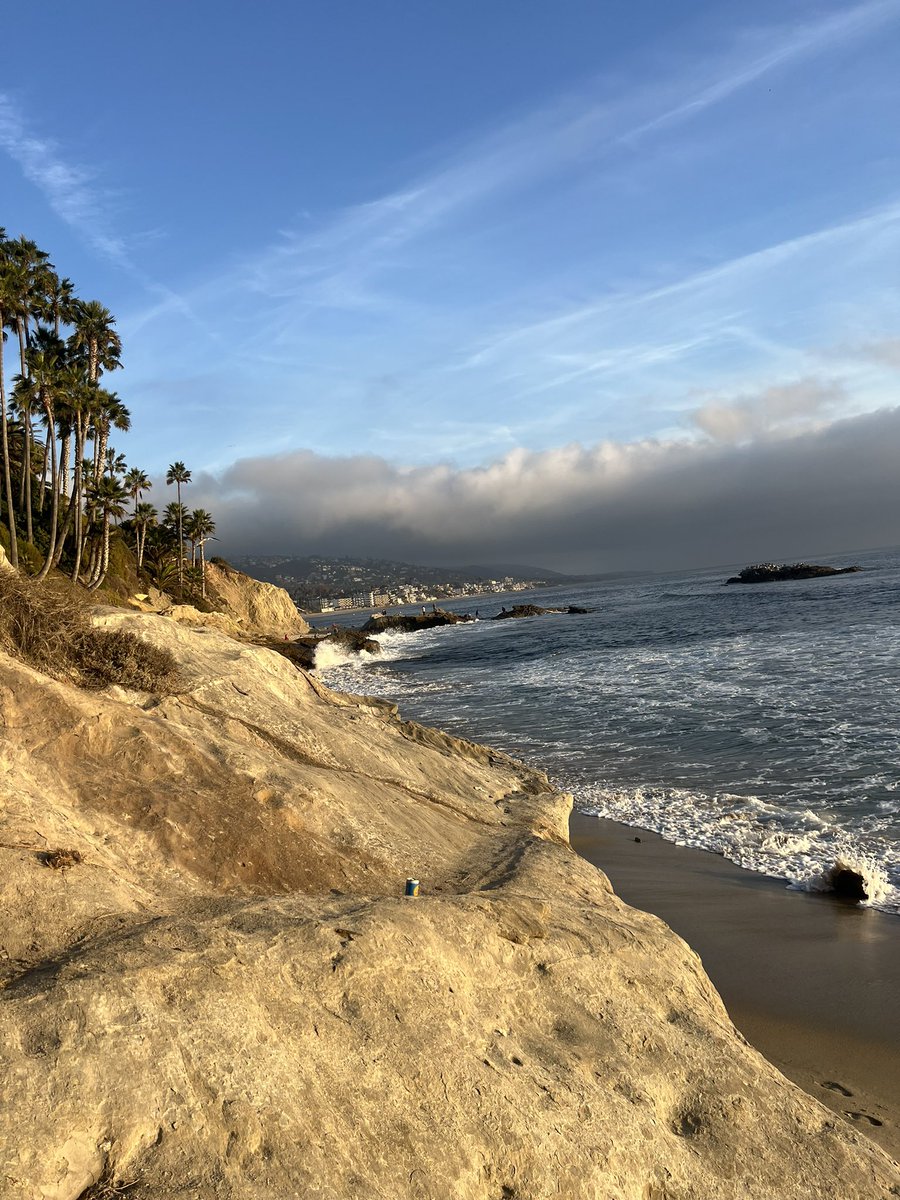 Tom Shields tweet media