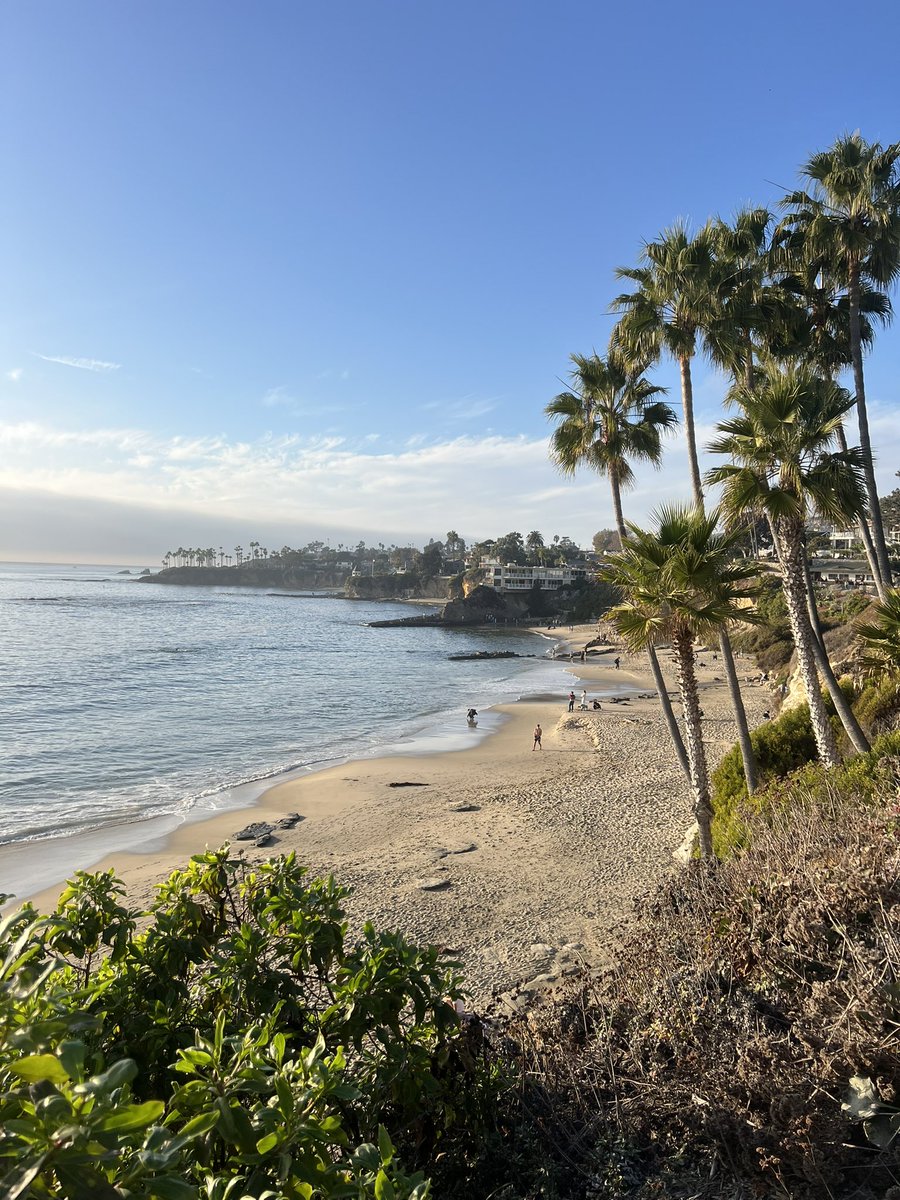 Tom Shields tweet media