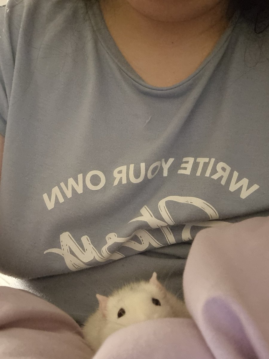 TurpyWerpyArt's tweet photo. Rest in Peace Hinoa, you're with your sister now, eating all the treats and snacks you desire and get all the cuddles you want.

I'm going to miss you both so terribly 💔 https://t.co/id4OwxTuL8