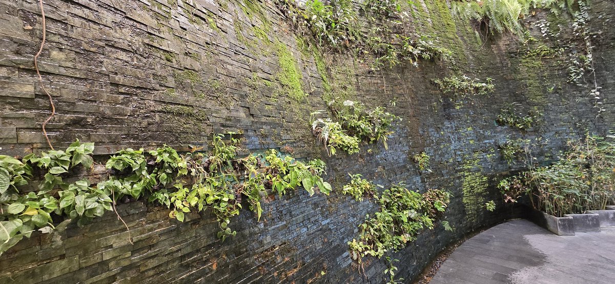 What do you think of my $Zen wall ? 

#BuildOnShibarium