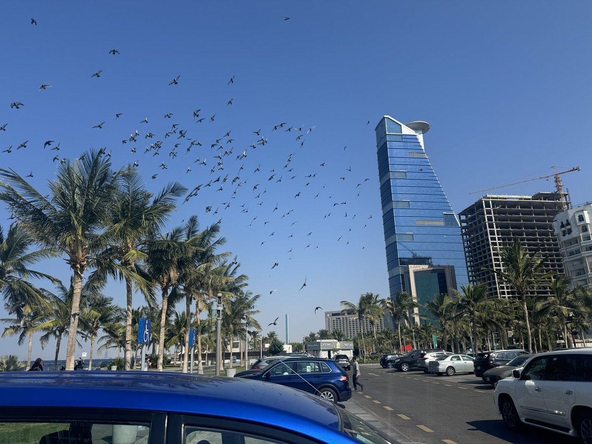 AseelGh's tweet photo. The beauty of Jeddah ☀️ https://t.co/ob6S1Bu3dJ
