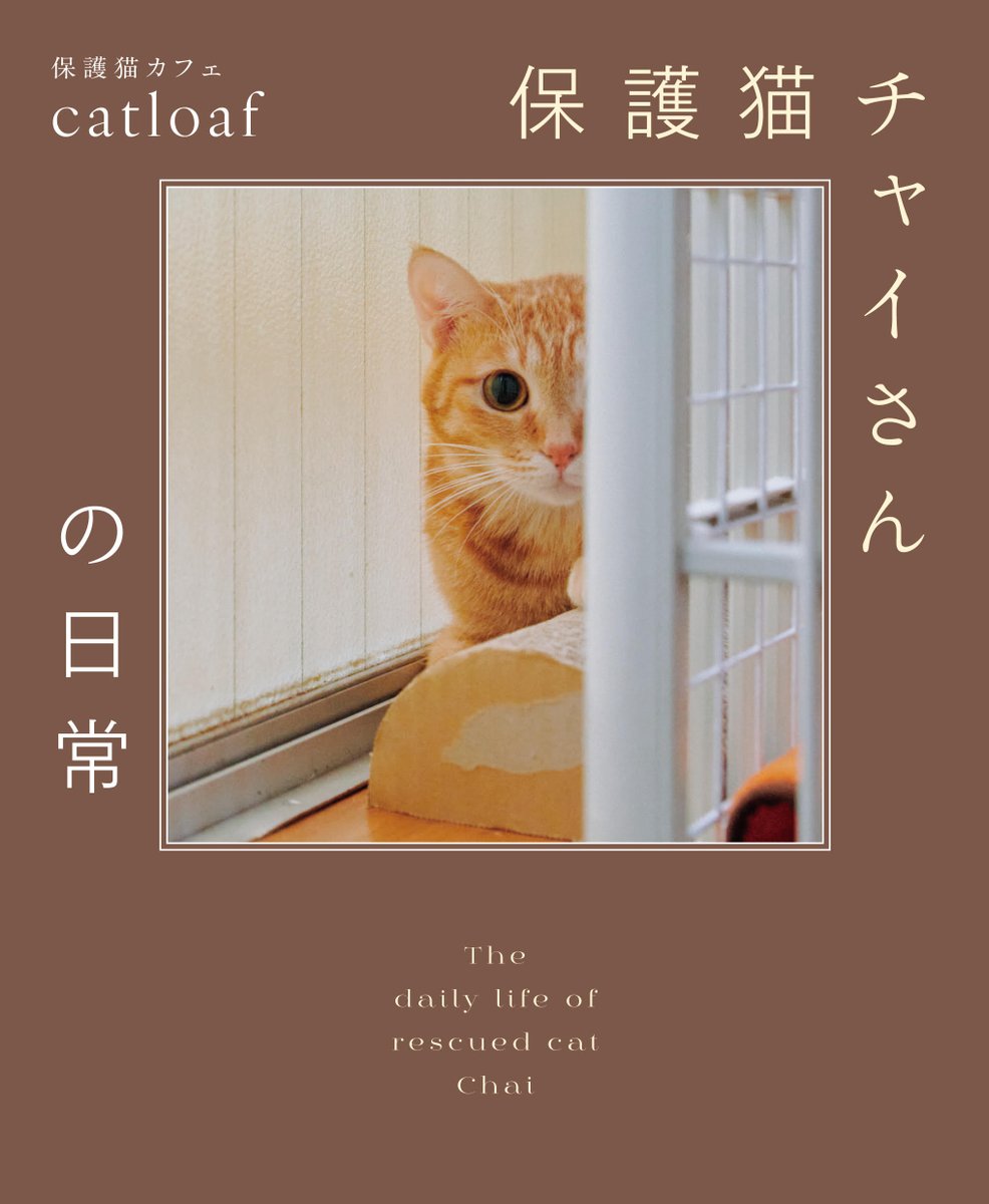 fusoshasenden's tweet photo. ／
『#保護猫チャイ さんの日常』 が
2025年2月3日（月）に発売決定🎊
＼

著者の #保護猫カフェcatloaf さんがインスタとTikTokで紹介🐈
https://t.co/YEK8bwI19w
https://t.co/vIVGVW5d6o

予約はこちら👇
・Amazon
https://t.co/mbb9YgiIOV

・Amazon限定付録つき特別定価版
https://t.co/HoMc1ANj3w

@catloaf622