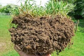 soilscientist22's tweet image. Soil porosity refers to the proportion of void spaces within the soil, which can be filled with air or water. #sciencefather#soil#researcher#SoilPorosity #SoilHealth #SustainableAgriculture #SoilStructure #SoilScience #WaterRetention #SoilFertility #PlantGrowth