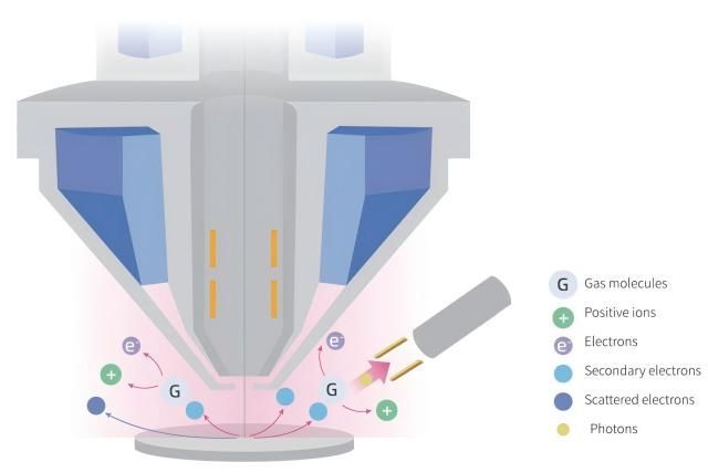 ciqtek's tweet image. FAQ of Scanning Electron Microscope (SEM) ：

1. Does the magnetic nature of a specimen affect SEM testing? 
2. What are the effects of radioactive specimens on SEM testing? 
......

Learn more: buff.ly/49foNIK

#ElectronMicroscope  #CIQTEK #SEMmicroscope