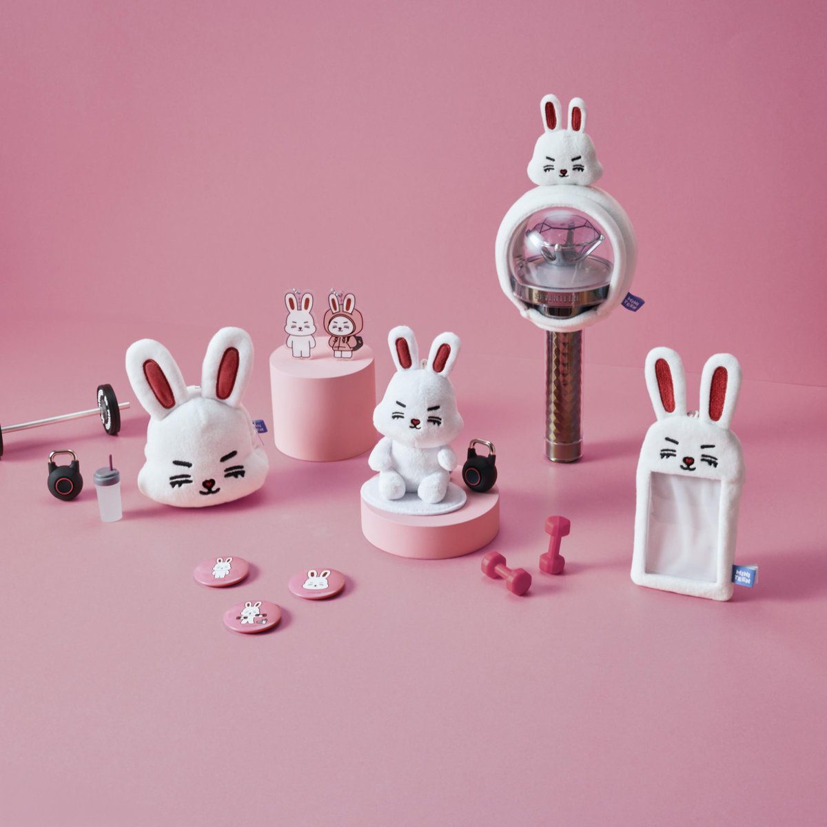 seventeen ミニティーン　チェチェリー　エスクプス　セット　2025 ミニティーン セブチ チェチェリー スンチョル エスクプス ペン