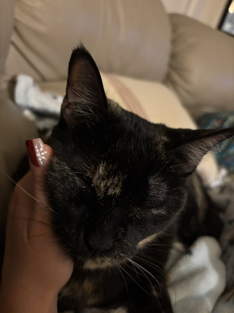 AutunnoMarie's tweet photo. @toxoplasmosii 🤍 https://t.co/aXwu2qelR9