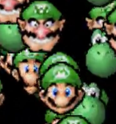 DoctorGarbage1's tweet photo. @FindLuigi https://t.co/2uXRLwSSVN