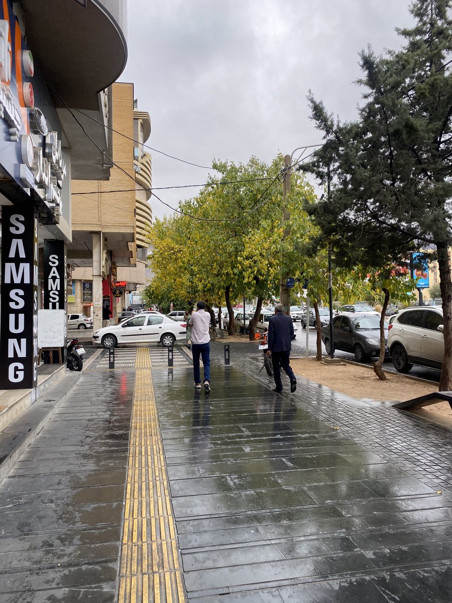 شیرشیراز