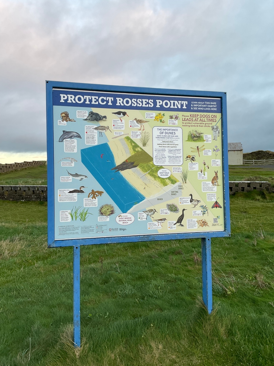 Last Sunday  I found solace amidst the whirlwind of life's challenges on an impromptu trip to Rosses Point beach with my darling husband (who sat and played cards on his iPad while I foraged on the beach.)
The gentle lapping of waves, the crisp tang of sea air, and the meditative