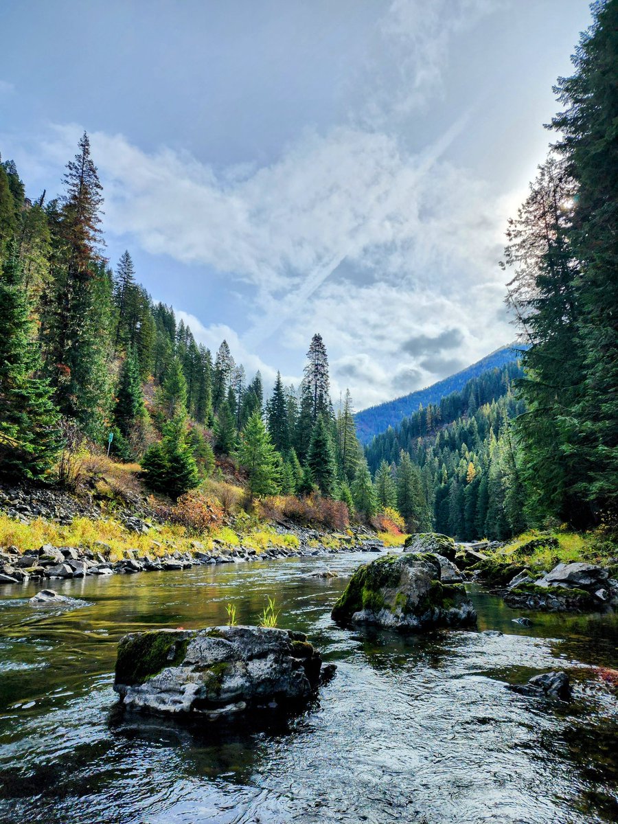 #MondayVibes #mondaymagic #NaturePhotography #NatureTherapy #NatureHeals #nature #landscapephotography