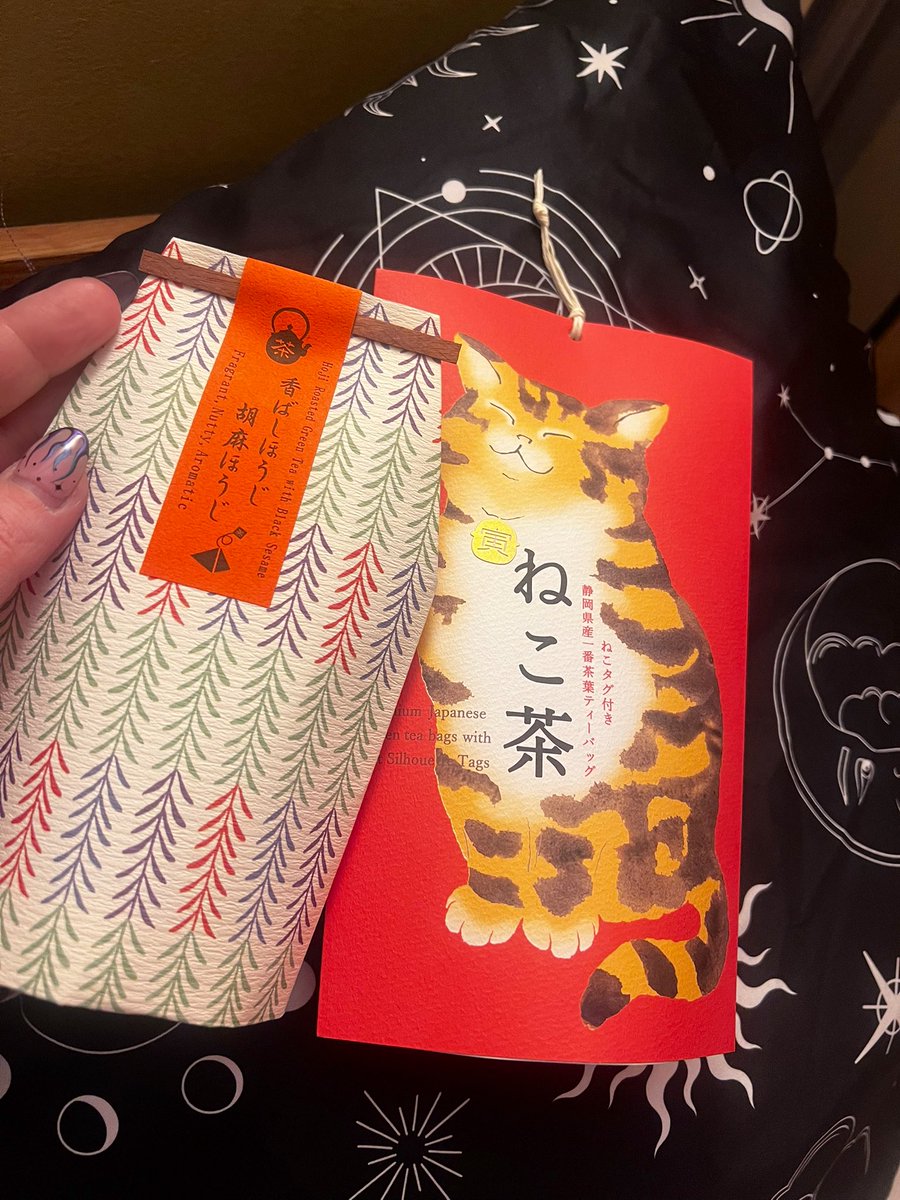 helloitsashie's tweet photo. fave lunch, tree, cat &amp; tea 🍵 🐱 🍱 https://t.co/QS1GtiAbwR