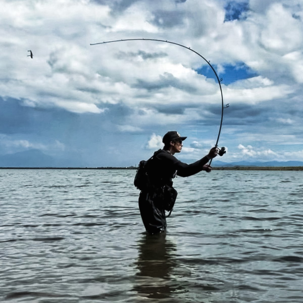 megabass_jp's tweet photo. メガバスのソルトショアゲームロッド「Cookai（空海）」。

ソルトロッドの世界では、かつてなかった「直感性能」と、ストレスフリーな使い心地は、34年に及ぶメガバス・ロッドテクノロジーの集積とロッドエンジニア伊東由樹の「Form follows Emotion.」の哲学によって具現化されています。

それはまるでアングラーの感覚神経の経路が拡大されたかのような、シンクロナイズドフィールを実現。

またロングシャフトで構成されるCookaiのショアゲームロッドは、短くコンペティティブなバスロッドのような圧巻の軽さと卓越したロッドバランスを実現し、ターゲットとルアーがあたかも1本の腕の延長線上で繋がっているかのような、シャフトと体躯の一体感を生み出すリニアリティーを��たらします。

異次元のロングディスタンスキャスタビリティー、ミノーやジグの微小な変化さえ感じ取る…。 Cookaiがサーフキャスティングの世界に、「ダイレクタビリティー」の概念を新たに提���します。

https://t.co/JfHBTbjcXg

#Megabass #YukiIto #Cookai
#メガバス #伊東由樹 #空海 #シーバス