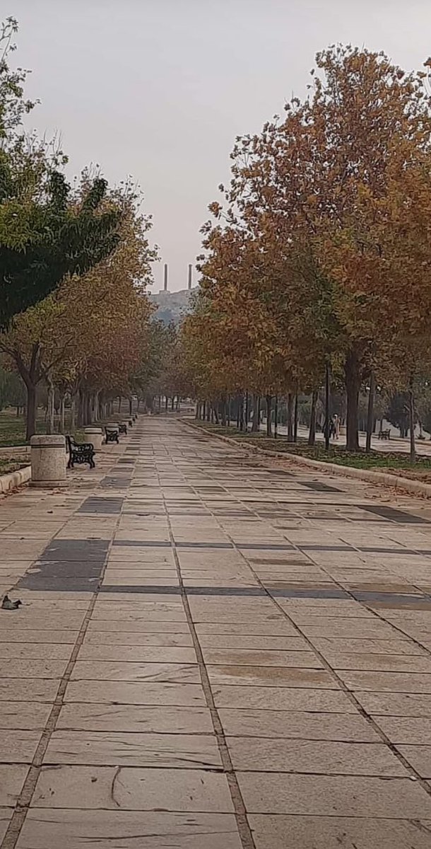 Hayırlı Sabahlar...
Mutlu bereketli bir hafta diliyorum.