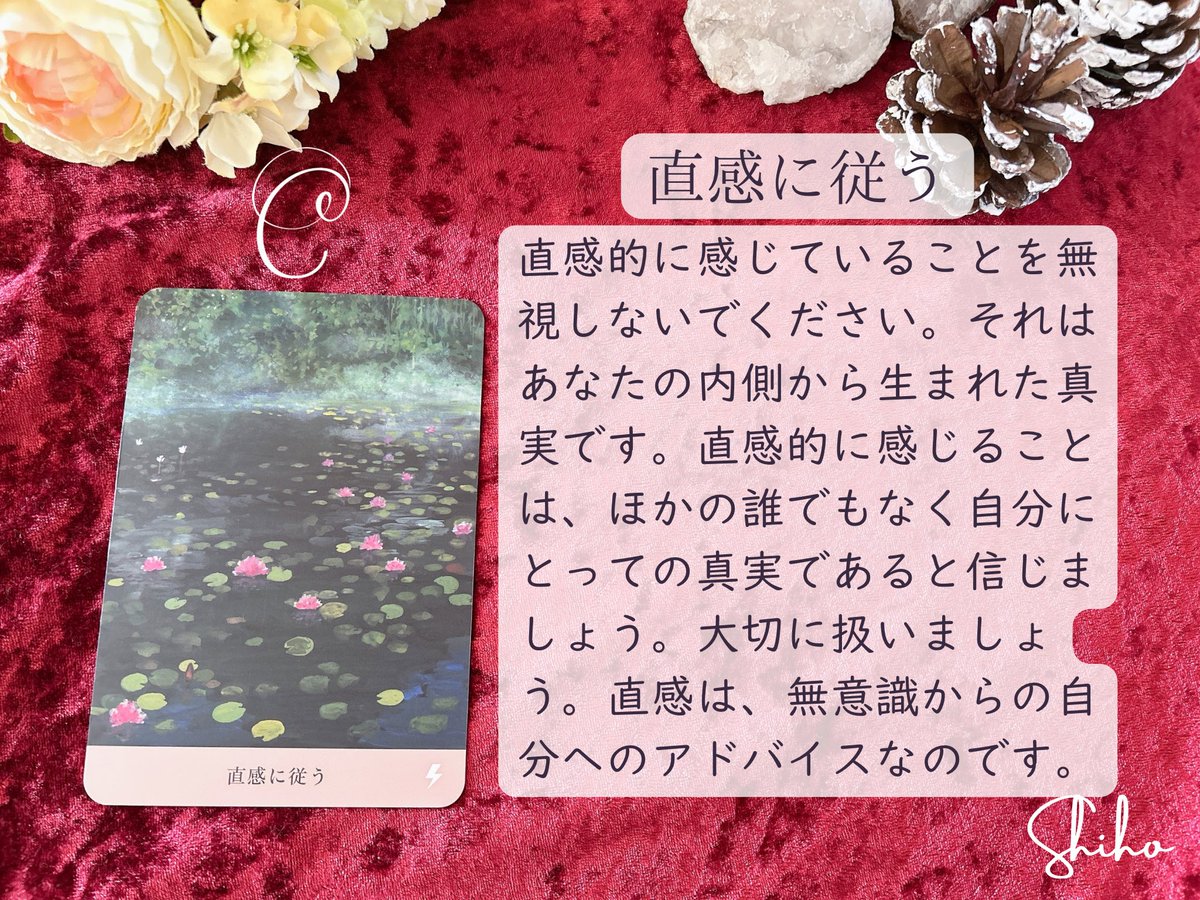 寒くなってきましたが
温かくして水分補給も忘れずに🙋‍♀️
 
今週も肩の力を抜いてマイペースに♡
 
#オラクルカードメッセージ
#今週のメッセージ