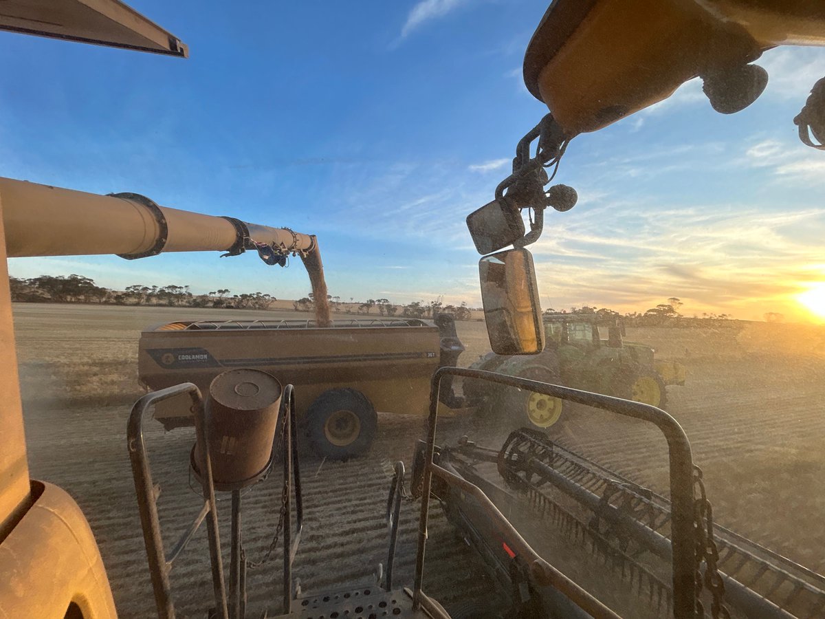seed_terminator's tweet photo. Magnificent evening for a header ride with the legendary Max Wilksch!
#Sunset #Twins #NewHolland #EP #ThanksMax @EatmoreWeetbix @agbyte_leet @CurtisSaleSrvc https://t.co/49RE34Wd34