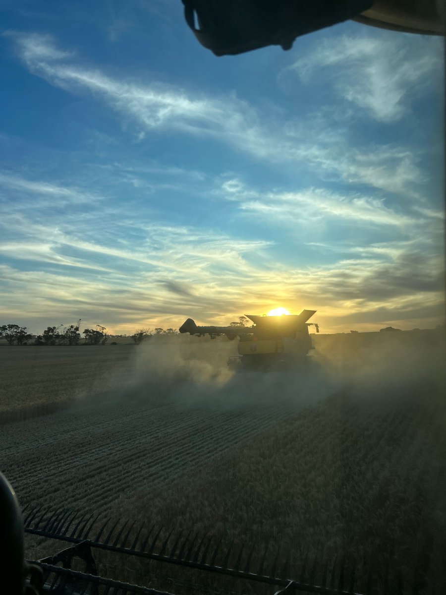 seed_terminator's tweet photo. Magnificent evening for a header ride with the legendary Max Wilksch!
#Sunset #Twins #NewHolland #EP #ThanksMax @EatmoreWeetbix @agbyte_leet @CurtisSaleSrvc https://t.co/49RE34Wd34