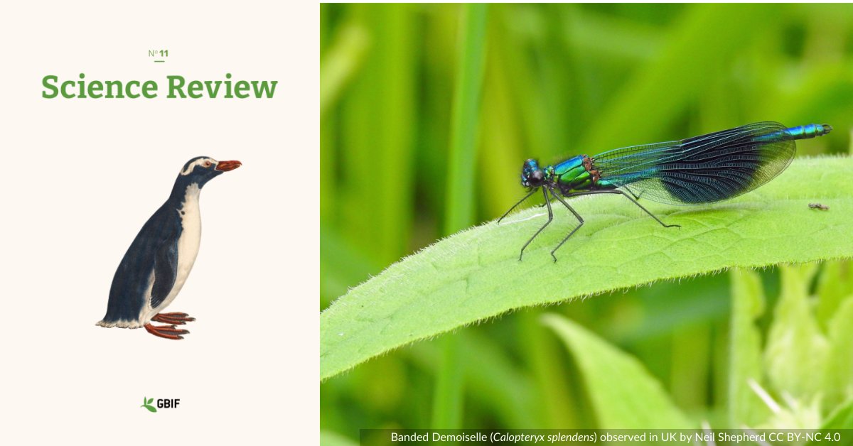 GBIF's tweet image. Check out our #ScienceReview summary of a study by O'Neil et al., which assessed the value of social media and #CitSci data 📸 in species distribution modelling when compared with other traditional data sources.

 🔗 spkl.io/6000fXUZ4