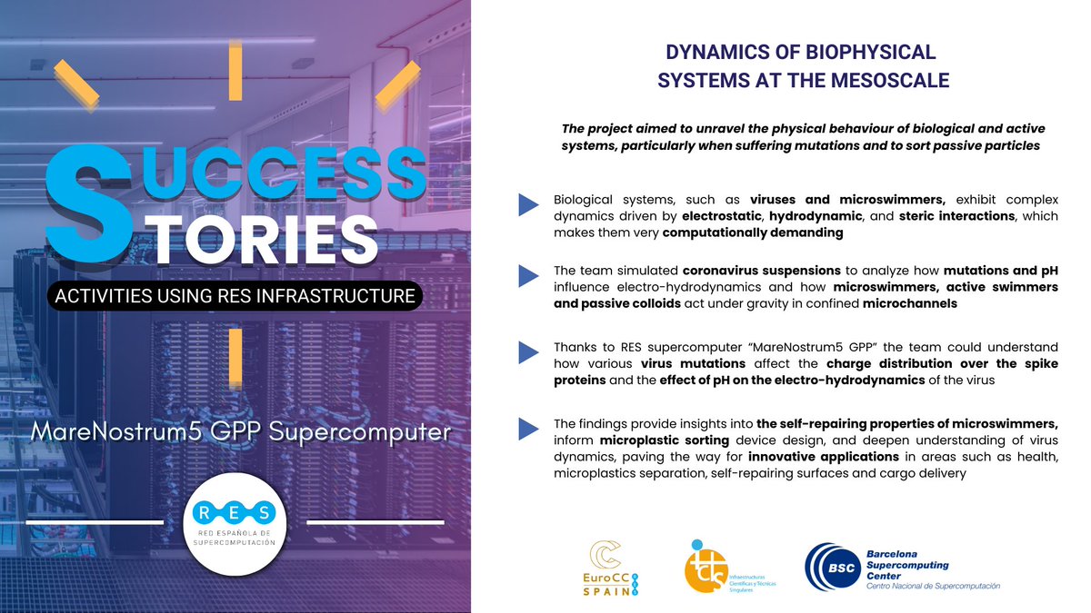 RES_HPC's tweet photo. 💡A story about viruses and microplastics💡

📋"Dynamics of biophysical systems at the mesoscale" led by @chavaleriani from @unicomplutense

🖥️#MareNostrum5 @BSC_CNS

👉Full story: https://t.co/EUDMUAliC1

#REStories @hasernas @natxopago @KARENGONZALESF3 @phdramoncp @Paco_Alarcon https://t.co/bkc5rfoEWM
