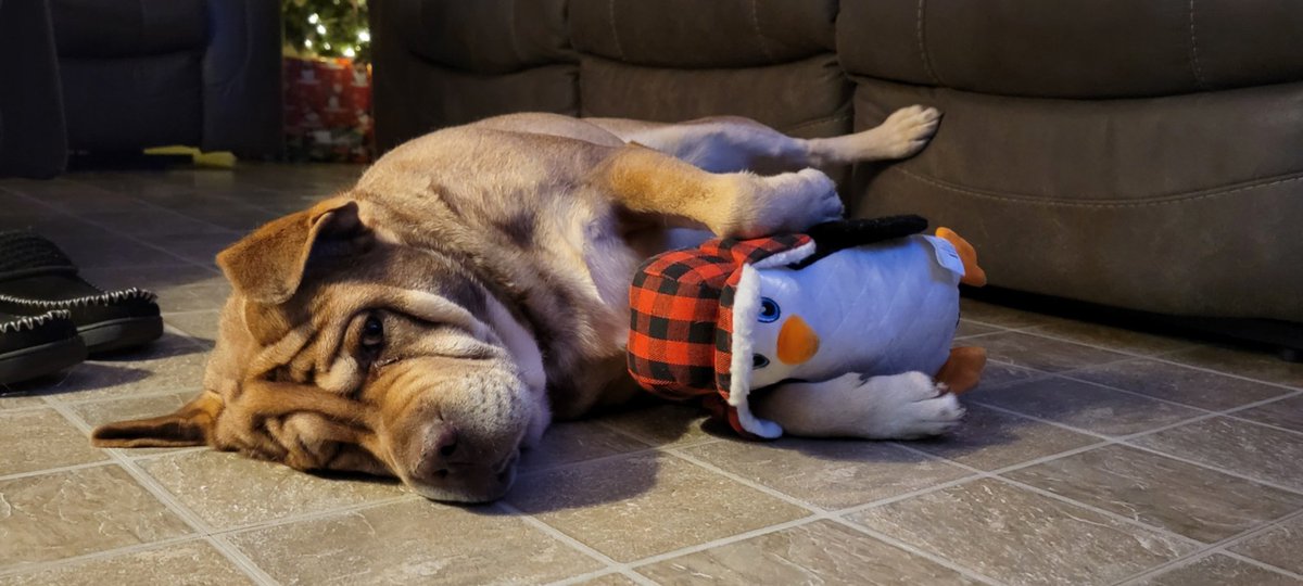 Jason Hanson tweet media